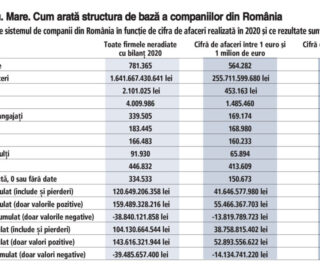 Mic. Mediu. Mare. Cât cântăreşte fiecare tip de companie în mediul de afaceri românesc?